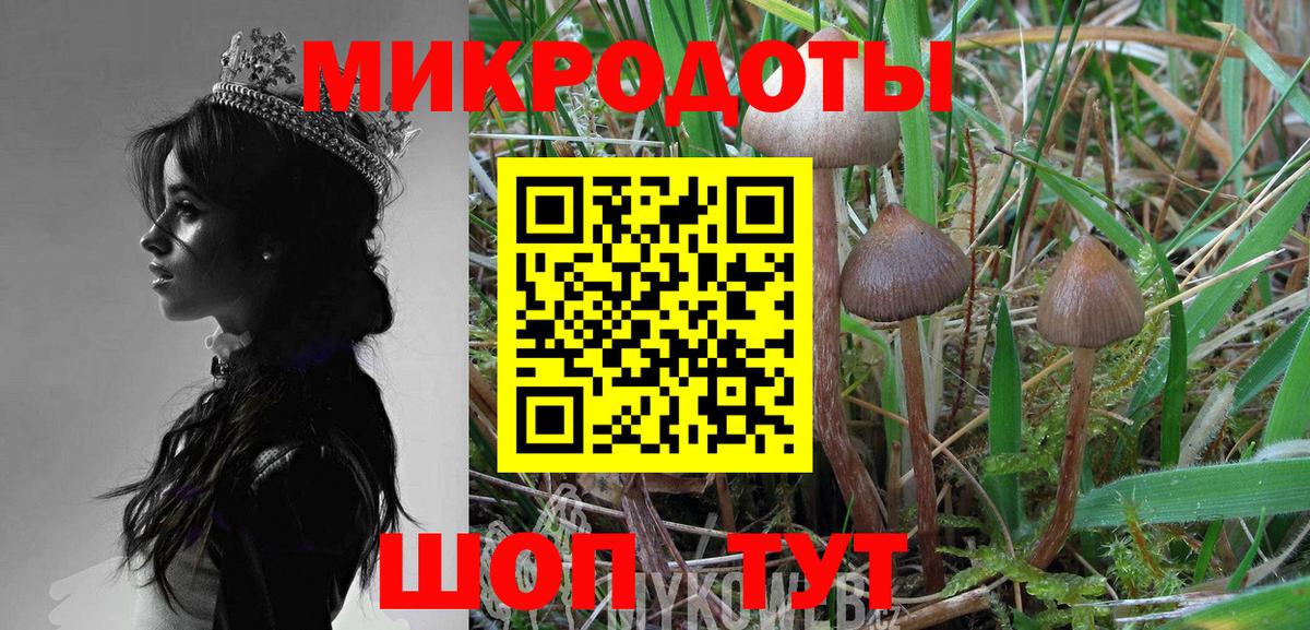 что такое наркотик  Псилоцибиновые грибы GOLDEN TEACHER  Вход с VPN  Гагарин  Галлюциногенные грибы GOLDEN TEACHER 
