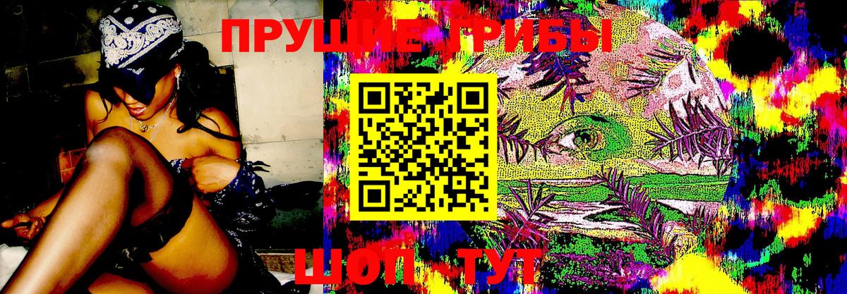 Галлюциногенные грибы Psilocybine cubensis Гагарин